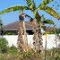  Land for sale in Hat Yai, Songkhla, Kho Hong, Hat Yai