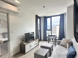 1 Bedroom Condo for rent at THE BASE Central Phuket, Wichit, Phuket Town, Phuket