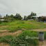  Земельный участок for sale in Nong Bua, Nakhon Sawan, Nong Bua, Nong Bua