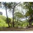  Land for sale in Guanacaste, Nicoya, Guanacaste