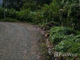 N/A Land for sale in , Limon Land for Sale in Siquirres with Approximately 7 Hectares