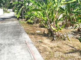  Land for sale in Chalong, Phuket Town, Chalong