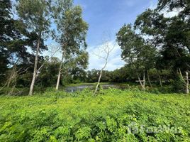  Terrain for sale in Thalang, Phuket, Choeng Thale, Thalang