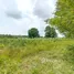  Land for sale in Na Wang Hin, Pattaya, Na Wang Hin, Phanat Nikhom, Chon Buri
