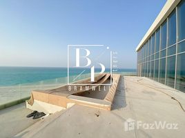 6 Schlafzimmer Penthouse zu verkaufen im Mamsha Al Saadiyat, Saadiyat Beach, Saadiyat Island, Abu Dhabi