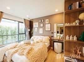 1 Bedroom Condo for rent at Space Cherngtalay Condominium , Choeng Thale, Thalang, Phuket, Thailand