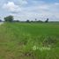  Land for sale in Nakhon Sawan, Kao Liao, Kao Liao, Nakhon Sawan