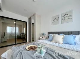1 Bedroom Condo for rent at Chewathai Hallmark Ladprao - Chokchai 4 Phase2, Saphan Song