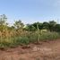  Land for sale in Chon Buri, Phlu Ta Luang, Sattahip, Chon Buri