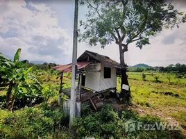 ขายที่ดิน ใน ลิปะน้อย, สุราษฎร์ธานี, ลิปะน้อย, เกาะสมุย, สุราษฎร์ธานี