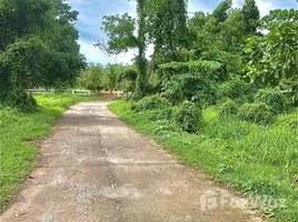  Land for sale in Mai Khao, Phuket, Mai Khao, Thalang, Phuket, Thailand