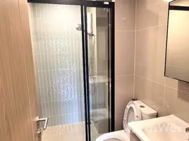 1 Bedroom Condo for rent at THE BASE Bukit, Wichit, Phuket Town, Phuket, Thailand
