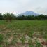  Land for sale in Chiang Mai, Mae Na, Chiang Dao, Chiang Mai