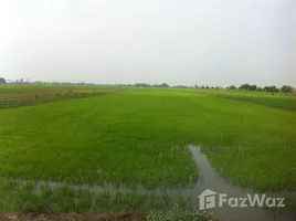 ขายที่ดิน ใน คลองสี่, ปทุมธานี, คลองสี่