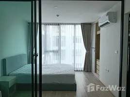 คอนโด 1 ห้องนอน ให้เช่า ในโครงการ เซอริโอ้ สุขุมวิท 50, พระโขนง