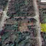  Land for sale in Chachoengsao, Mon Thong, Bang Nam Priao, Chachoengsao