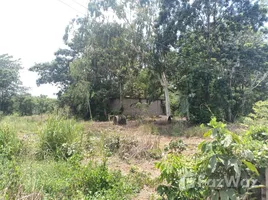  Grundstück zu verkaufen in Si Maha Phot, Prachin Buri, Si Maha Phot, Si Maha Phot, Prachin Buri