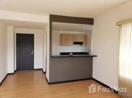 2 Habitaciones Apartamento en alquiler en , San José Nice condo for rent in San Jose