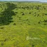  Terreno (Parcela) en venta en Wewewa Barat, East Nusa Tenggara, Wewewa Barat, Sumba Barat, East Nusa Tenggara