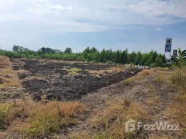 ขายที่ดิน ใน ไทรใหญ่, นนทบุรี, ไทรใหญ่, ไทรน้อย, นนทบุรี, ไทย