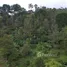 在East Jawa出售的 土地, Wonosalam, Jombang, East Jawa