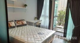 ยูนิตมือสองและให้เช่า