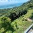  Land for sale in Surat Thani, Ang Thong, Koh Samui, Surat Thani