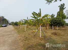 ขายที่ดิน ใน เหมืองแก้ว, เชียงใหม่, เหมืองแก้ว