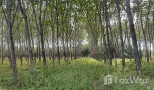 N/A Land for sale in Khok Kloi, Phangnga 
