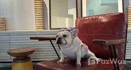 ยูนิตมือสองและให้เช่า