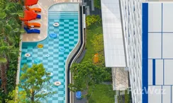 Photos 2 of the Communal Pool at HUB Hua Hin condominium