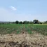  Land for sale in Nong Bun Mak Nakhon Ratchasima, Nong Bunnak, Nong Bun Mak, Nakhon Ratchasima