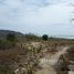  Terrain for sale in Manabi, San Vicente, San Vicente, Manabi