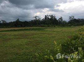  Terreno (Parcela) en venta en Costa Rica, Pococi, Limón, Costa Rica