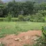  Land for sale in Colombia, Floridablanca, Santander, Colombia