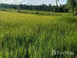  Grundstück zu verkaufen in Chaturaphak Phiman, Roi Et, I Ngong, Chaturaphak Phiman, Roi Et