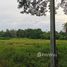  Land for sale in Ban Pong, Ratchaburi, Nakhon Chum, Ban Pong