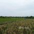  Land for sale in Tabanan, Bali, Kediri, Tabanan