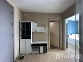 1 Bedroom Condo for rent at The Base Rama 9 - Ramkhamhaeng, Hua Mak, Bang Kapi