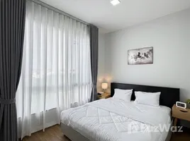 วิลล่า 3 ห้องนอน ให้เช่า ในโครงการ พลีโน่ สุขุมวิท-บางนา 3, บางแก้ว, บางพลี, สมุทรปราการ