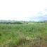  Land for sale in Pak Chong, Nakhon Ratchasima, Mu Si, Pak Chong