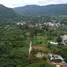  Land for sale in Pak Chong Nakhon Ratchasima, Mu Si, Pak Chong, Nakhon Ratchasima