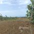  Land for sale at Puerto Plata, San Felipe De Puerto Plata