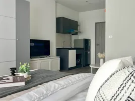 คอนโด 1 ห้องนอน ให้เช่า ในโครงการ ริช พอยท์ @ บีทีเอส วุฒากาศ, ตลาดพลู, ธนบุรี