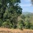  Land for sale in Thailand, Huai Sai, Mae Rim, Chiang Mai, Thailand