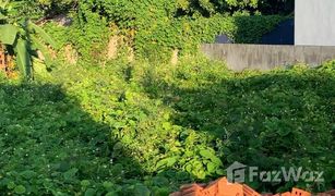 N/A Land for sale in Wat Ket, Chiang Mai 