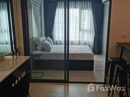 คอนโด 1 ห้องนอน ให้เช่า ในโครงการ ไลฟ์ วัน ไวร์เลส, ลุมพินี