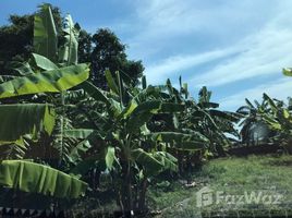  Grundstück zu verkaufen in Bang Bo, Samut Prakan, Preng, Bang Bo