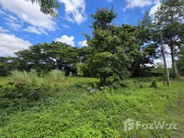  Land for sale in Nong Faek, Chiang Mai, Nong Faek