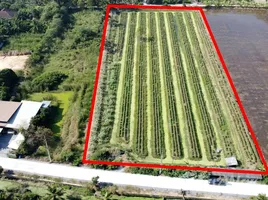 ขายที่ดิน ใน วัดละมุด, นครปฐม, วัดละมุด, นครชัยศรี